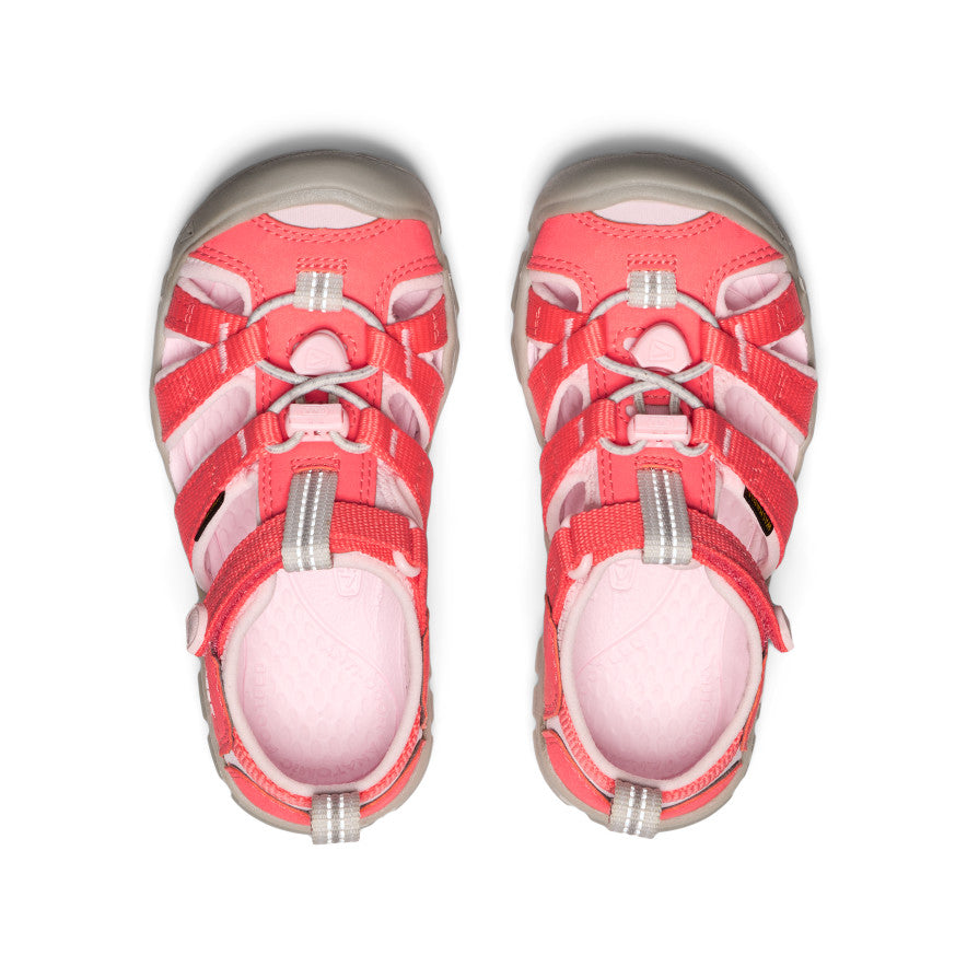keen-seacamp-ii-cnx-sandale-f-r-kleine-kids-dubarry-giggle-pink image 4